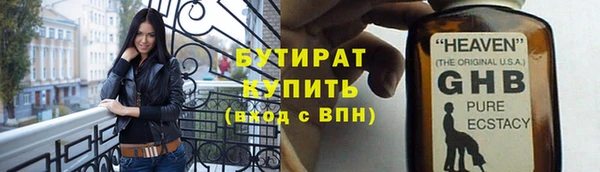 индика Алексин