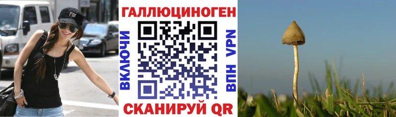 Псилоцибиновые грибы MAGIC MUSHROOMS  МЕГА ССЫЛКА  Трубчевск 