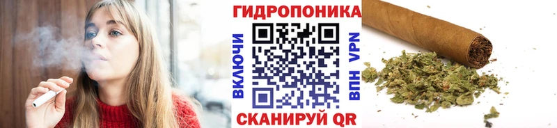 МАРИХУАНА ГИДРОПОН  Трубчевск 
